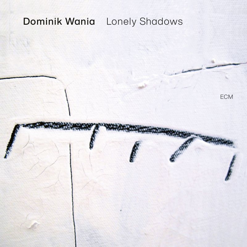 Review of Dominik Wania: Lonely Shadows