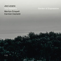 Review of Joe Lovano Trio Tapestry: Garden of Expression