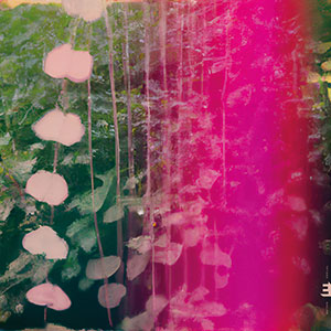 Review of Snowpoet: Heartstrings