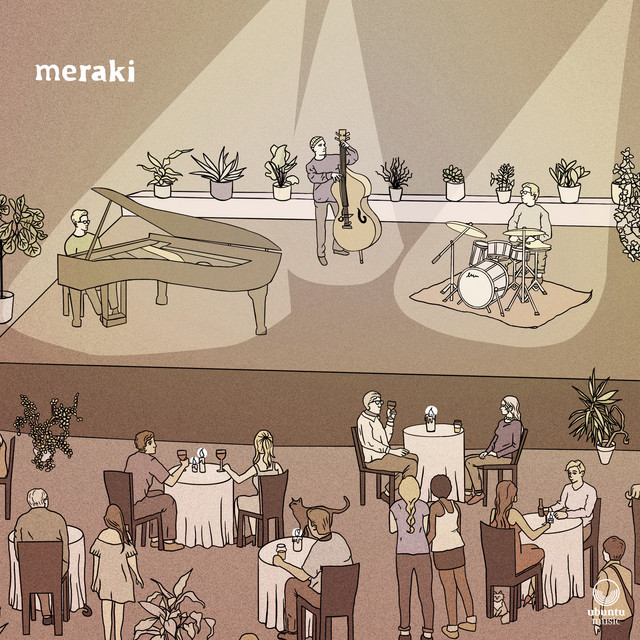 Review of Meraki