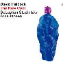 Review of David Helbock, Sebastian Studnitzky, Arne Jansen: The New Cool
